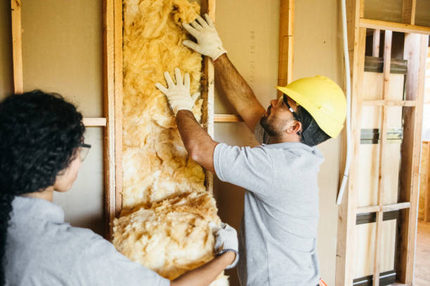 Best Attic Insulation Installation  in Shallotte, NC