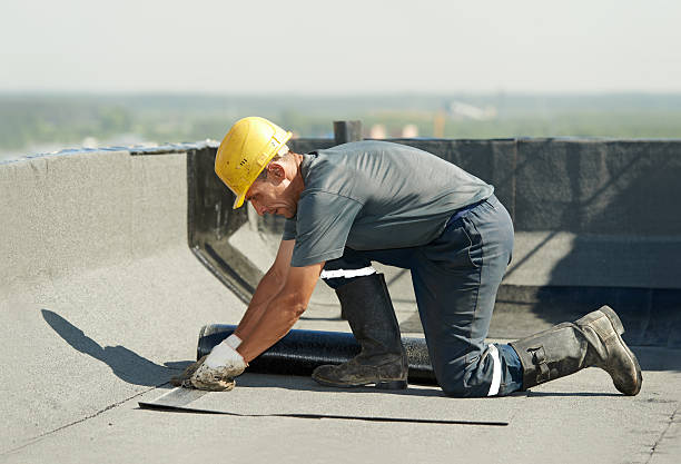 Best Best Insulation Companies  in Shallotte, NC